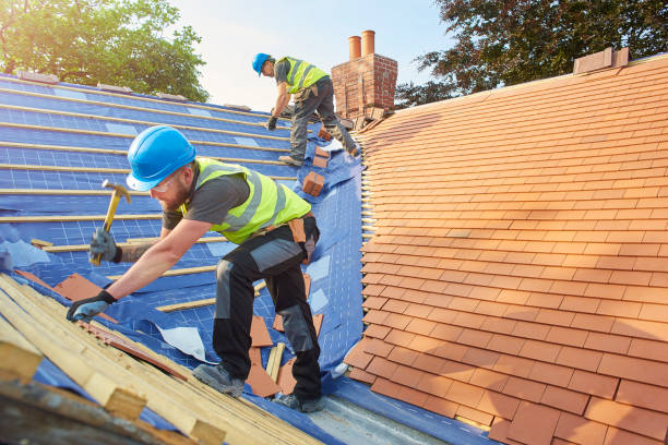 Best Roof Moss and Algae Removal  in Lake Arrowhead, ME